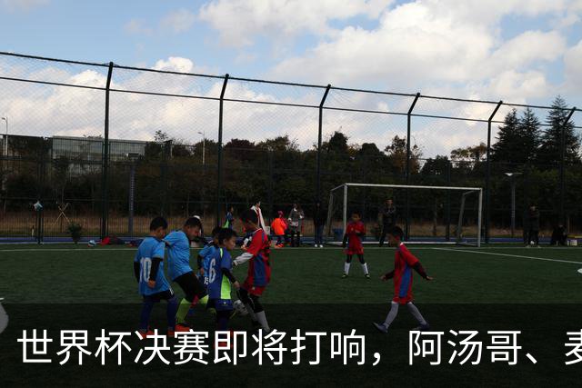 世界杯决赛即将打响，阿汤哥、麦当娜、夏奇拉、比伯等巨星已确定出席表演，执行制片人：演出汇集全球顶尖艺人，希望能代表整个世界