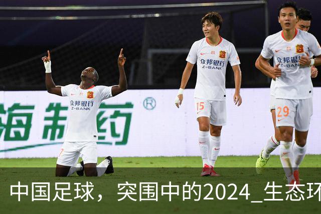 中国足球，突围中的2024 生态环境将实现好转