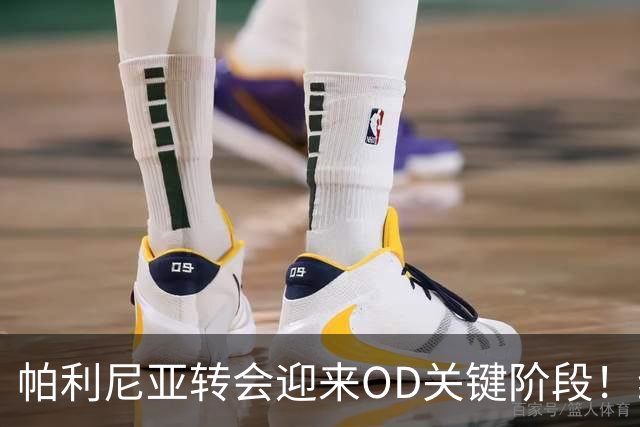 帕利尼亚转会迎来OD关键阶段！维拉、本菲卡展开竞争，拜仁已推动出售