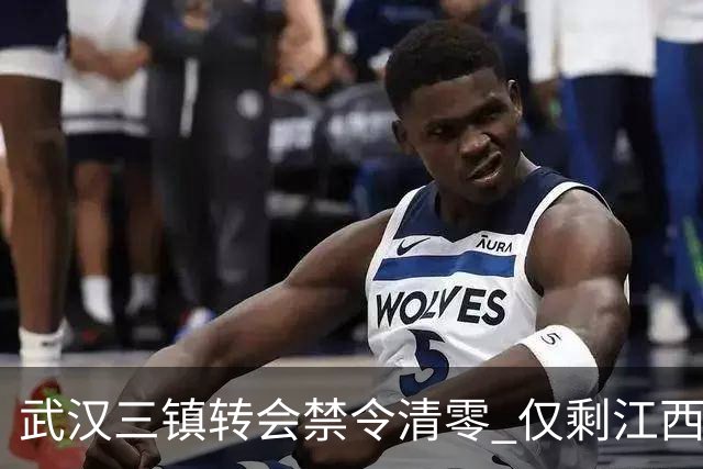 武汉三镇转会禁令清零 仅剩江西庐山还存在转会注册禁令