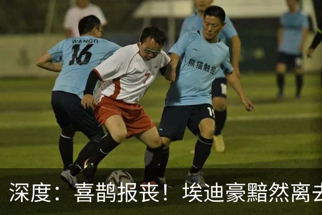 深度：喜鹊报丧！埃迪豪黯然离去 大病纽卡一地鸡毛