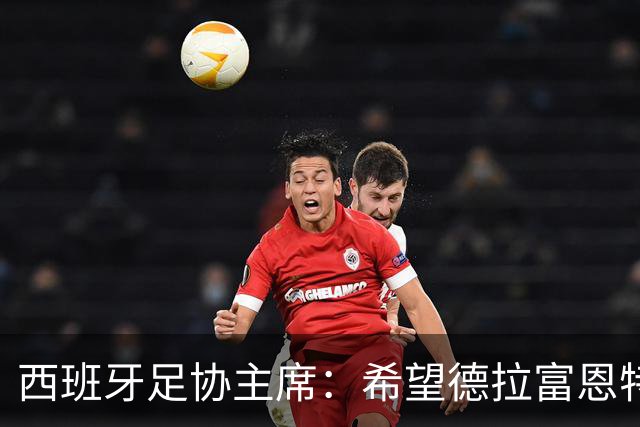 西班牙足协主席：希望德拉富恩特长期执教，成为西班牙的弗格森