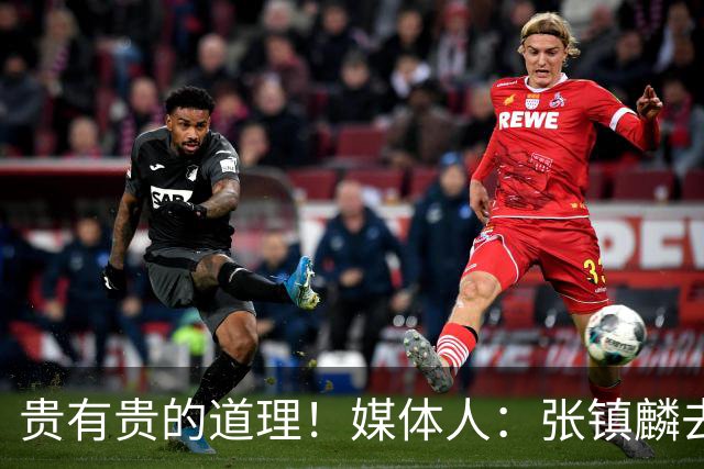 贵有贵的道理！媒体人：张镇麟去年加盟上海转会费投入超5000万