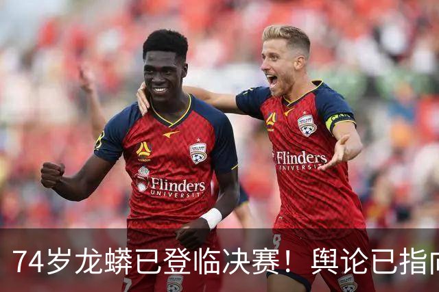 74岁龙蟒已登临决赛！舆论已指向国乒男队断层 博主：王励勤准备接招
